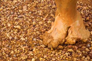 Outdoor Photoshoot Singapore