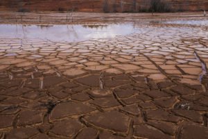 Outdoor Photoshoot Singapore