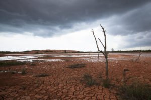 Outdoor Photoshoot Singapore