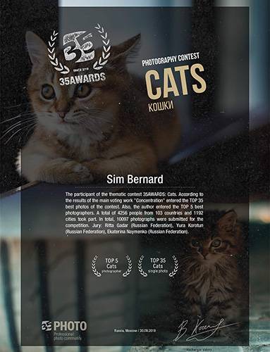 award-sec Pet Photography Award