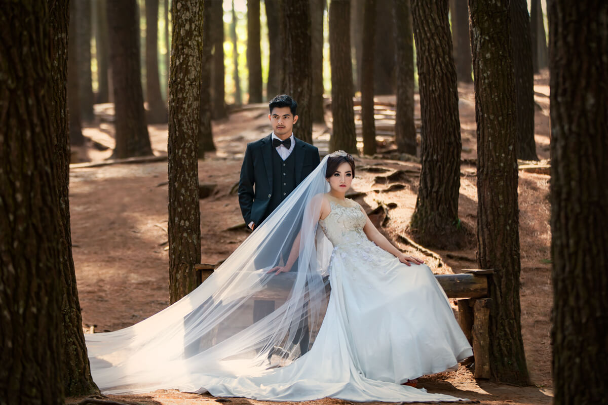wedding couple in pine tree forest in jogja