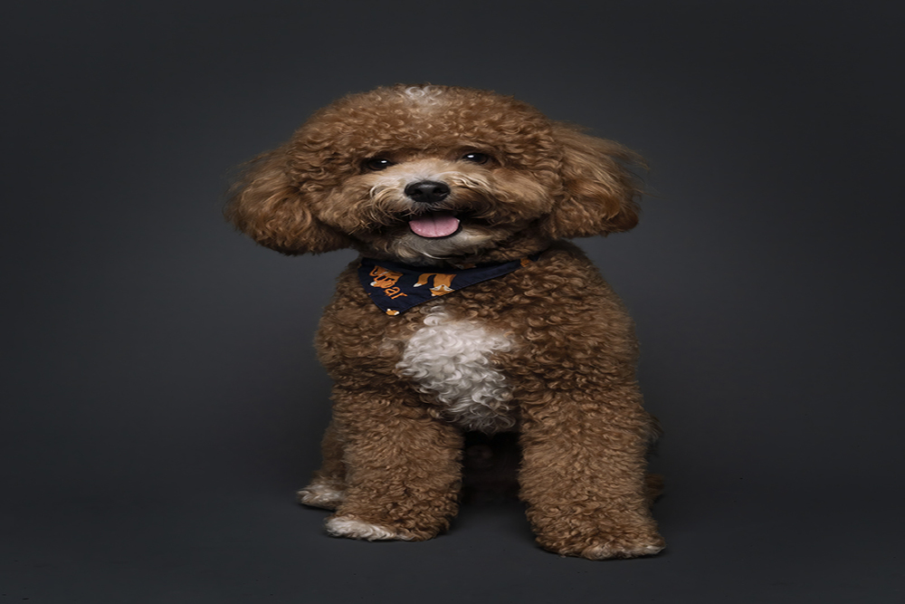 Find top photoshoot.