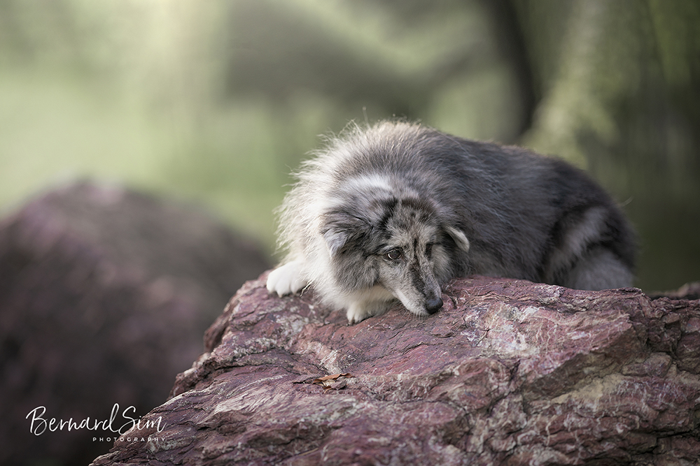 Outdoor Photoshoot Singapore