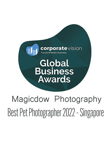 best-pet-photographer-2022-singapore Best Pet Photographer Award