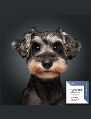 domestic-animal-photographer-2023 domestic-animal-photographer